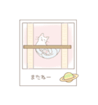 ねこぽら（個別スタンプ：40）