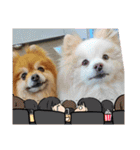 陸くんと空くん一家と友達4（個別スタンプ：14）