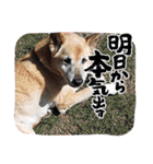陸くんと空くん一家と友達4（個別スタンプ：16）