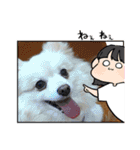 陸くんと空くん一家と友達4（個別スタンプ：17）