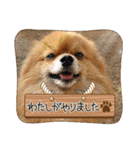 陸くんと空くん一家と友達4（個別スタンプ：18）