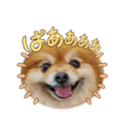 陸くんと空くん一家と友達4（個別スタンプ：19）