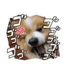 陸くんと空くん一家と友達4（個別スタンプ：21）