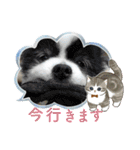 陸くんと空くん一家と友達4（個別スタンプ：23）