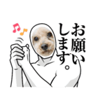 陸くんと空くん一家と友達4（個別スタンプ：25）