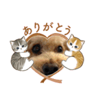 陸くんと空くん一家と友達4（個別スタンプ：26）