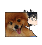 陸くんと空くん一家と友達4（個別スタンプ：32）