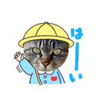 陸くんと空くん一家と友達4（個別スタンプ：39）