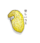 恋家…ハリネズミ♀恋粒の気持ち（個別スタンプ：2）