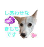 レーベンっ子のおしゃべり4（個別スタンプ：1）