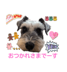 レーベンっ子のおしゃべり4（個別スタンプ：2）