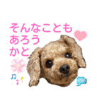 レーベンっ子のおしゃべり4（個別スタンプ：14）