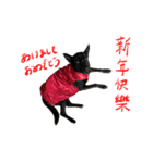 好球sticker（中国語/日本語）【日常】#1（個別スタンプ：1）