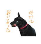 好球sticker（中国語/日本語）【日常】#1（個別スタンプ：10）