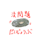 好球sticker（中国語/日本語）【日常】#1（個別スタンプ：20）