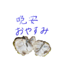 好球sticker（中国語/日本語）【日常】#1（個別スタンプ：24）