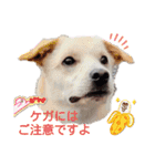 レーベンっ子のおしゃべり5（個別スタンプ：2）