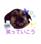 レーベンっ子のおしゃべり5（個別スタンプ：5）