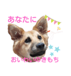 レーベンっ子のおしゃべり5（個別スタンプ：8）