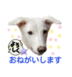 レーベンっ子のおしゃべり5（個別スタンプ：11）