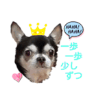 レーベンっ子のおしゃべり5（個別スタンプ：15）
