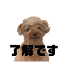 モコと愉快なファミリー（個別スタンプ：2）