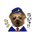 ヨーキーはっち（個別スタンプ：4）