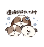 FFP the DOG（個別スタンプ：8）