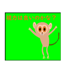 伊豆 動物園 4番目（個別スタンプ：16）