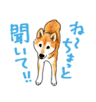 シニアの柴犬 いっちゃん(伊佐蔵)（個別スタンプ：29）