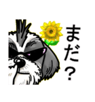 wild Shih tzu part2（個別スタンプ：11）