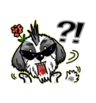 wild Shih tzu part2（個別スタンプ：12）