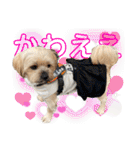 クリームモフ（個別スタンプ：32）