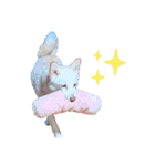 ひなうみちょこ（個別スタンプ：5）