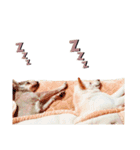 ひなうみちょこ（個別スタンプ：7）