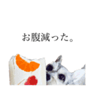 ひなうみちょこ（個別スタンプ：15）