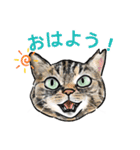 猫の絵、犬の絵スタンプ。②（個別スタンプ：1）