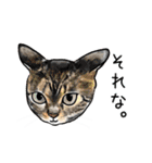 猫の絵、犬の絵スタンプ。②（個別スタンプ：4）