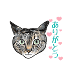 猫の絵、犬の絵スタンプ。②（個別スタンプ：5）