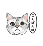 猫の絵、犬の絵スタンプ。②（個別スタンプ：9）