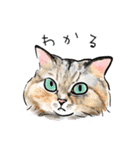 猫の絵、犬の絵スタンプ。②（個別スタンプ：10）