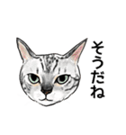 猫の絵、犬の絵スタンプ。②（個別スタンプ：12）