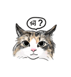 猫の絵、犬の絵スタンプ。②（個別スタンプ：14）