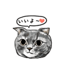 猫の絵、犬の絵スタンプ。②（個別スタンプ：17）