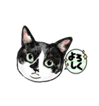 猫の絵、犬の絵スタンプ。②（個別スタンプ：18）