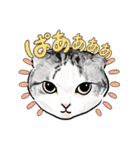 猫の絵、犬の絵スタンプ。②（個別スタンプ：22）