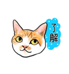 猫の絵、犬の絵スタンプ。②（個別スタンプ：40）