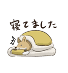 キツネたぬきスタンプ（個別スタンプ：38）