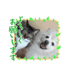 すぐる＆ハルのひと時2（個別スタンプ：5）