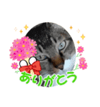 すぐる＆ハルのひと時2（個別スタンプ：10）